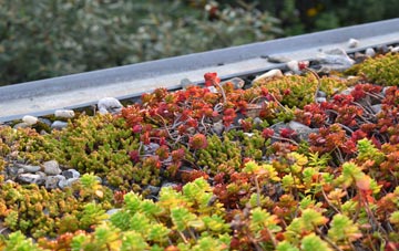 the cost of Brynsworthy green roof installation