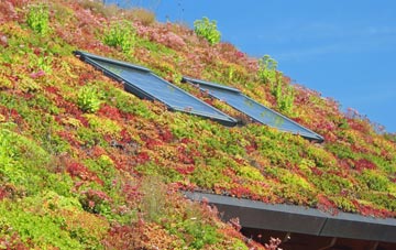 Brynsworthy living roof systems